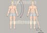 do winner professional medical and exercise illustrations